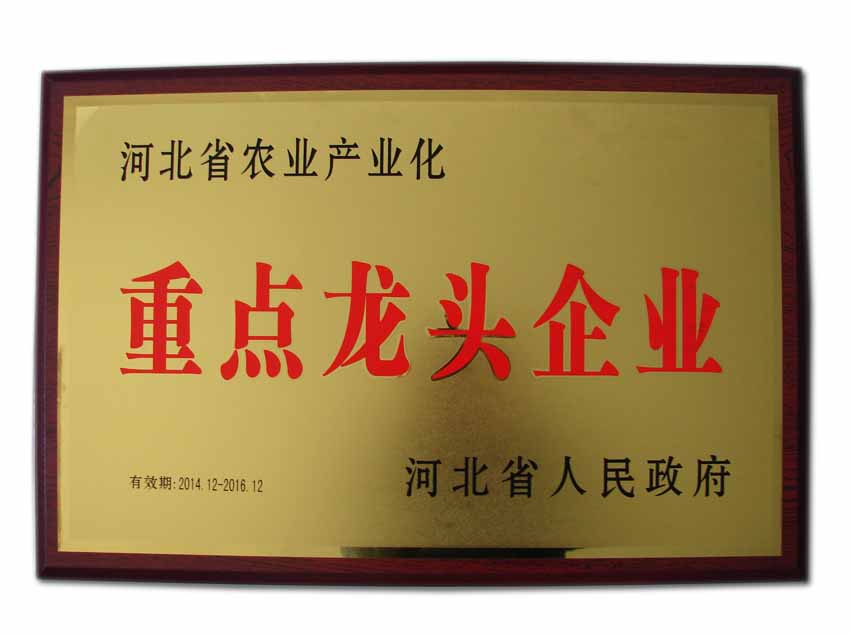 杏悦2 - 高品质生涯履历平台 | 生涯服务 | 休闲娱乐