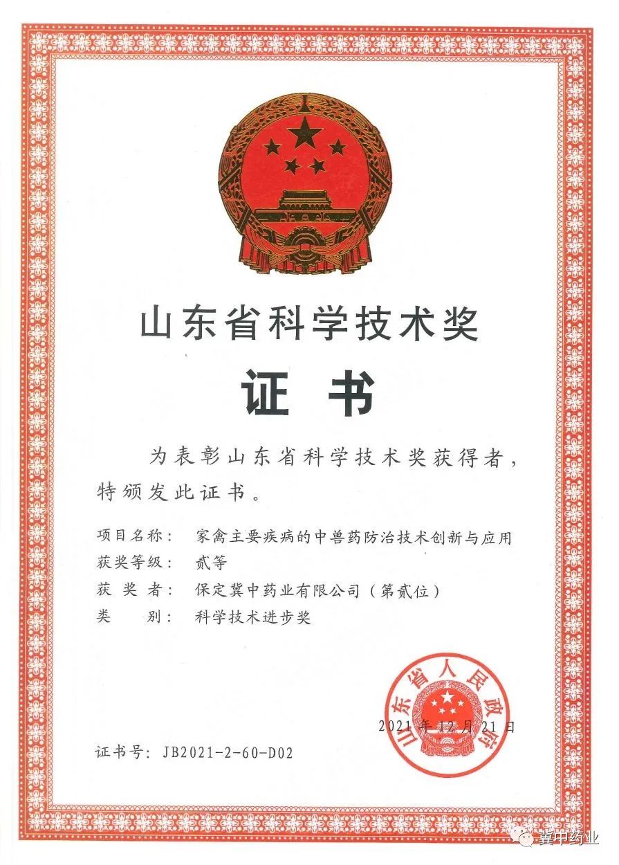6268afa758b8a