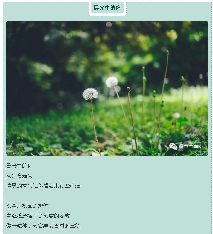 62c3fd4b87813